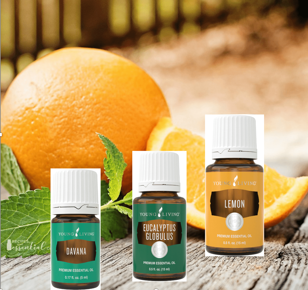Little Oilers Starter-Kit | Shop-Oil.com